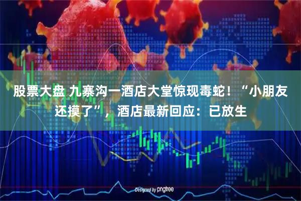 股票大盘 九寨沟一酒店大堂惊现毒蛇！“小朋友还摸了”，酒店最新回应：已放生