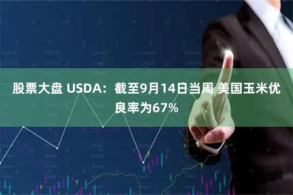 股票大盘 USDA：截至9月14日当周 美国玉米优良率为67%