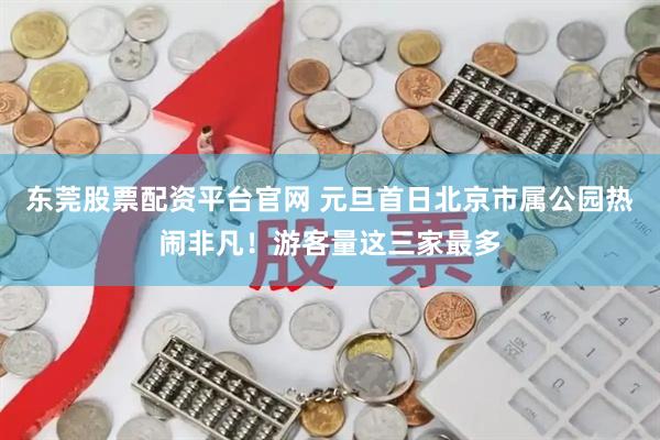 东莞股票配资平台官网 元旦首日北京市属公园热闹非凡！游客量这三家最多